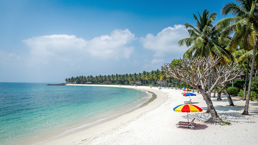 Nagoa Beach's horseshoe of calm turquoise water lined with branching Hoka palms